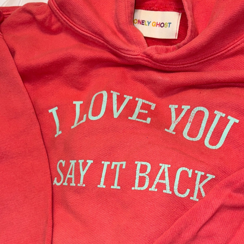 Lonely Ghost Hoodie “I LOVE YOU SAY IT BACK” 💗 Pink and Blue Boxy Oversized Fit - Picture 5 of 5